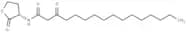 N-3-oxo-hexadecanoyl-L-Homoserine lactone