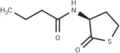 N-butyryl-L-Homocysteine thiolactone