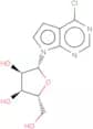 6-Chloro-7-deazapurine-β-D-riboside