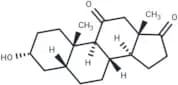 11-Oxo etiocholanolone