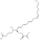 11-trans Leukotriene E4
