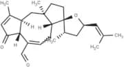 Anhydroepiophiobolin A