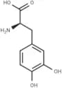 D-DOPA