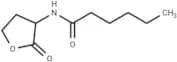 N-hexanoyl-DL-Homoserine lactone