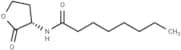 N-octanoyl-L-Homoserine lactone