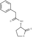 N-phenylacetyl-L-Homoserine lactone