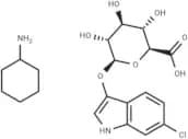 6-Chloro-3-indolyl-β-D-Glucuronide CHA