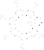 6-O-Sulfo-β-cyclodextrin (sodium salt)