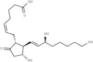 20-hydroxy Prostaglandin E2