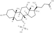 Cholic Acid 7-sulfate