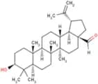 Betulinaldehyde