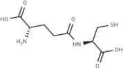 γ-glutamylcysteine