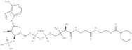 Cyclohexanoyl Coenzyme A