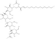Globotetraosylceramides (porcine RBC)