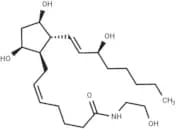 Prostaglandin F2α Ethanolamide
