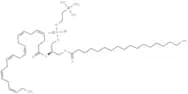 1-Stearoyl-2-docosahexaenoyl-sn-glycero-3-PC