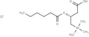 Hexanoyl-L-carnitine (chloride)