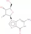 2′-Deoxy-2′-fluoroguanosine