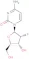2'-Deoxy-2'-fluorocytidine
