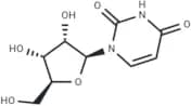 L-Uridine