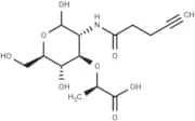 Click N-Acetylmuramic acid - alkyne
