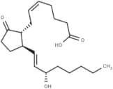 11-deoxy Prostaglandin E2
