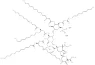 Kdo2-Lipid A ammonium