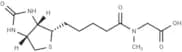 Biotin-sar-oh