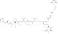 MC-betaglucuronide-MMAE-1
