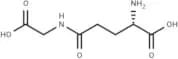 γ-Glu-Gly