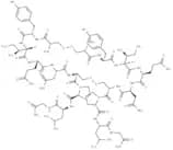 Oxytocin parallel dimer