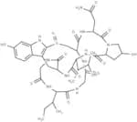 γ-Amanitin