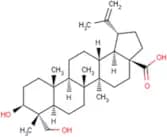 23-Hydroxybetulinic acid