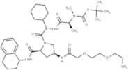 A 410099.1 amide-PEG2-amine-Boc