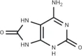 2,8-Dihydroxyadenine