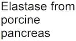 Elastase from porcine pancreas