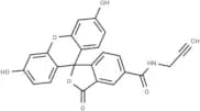 5-FAM-Alkyne