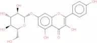 Kaempferol-7-O-β-D-glucopyranoside