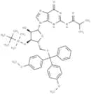 5'-DMT-3'-TBDMS-ibu-rG