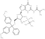 5'-O-DMT-2'-O-iBu-N-Bz-Guanosine