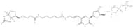 Biotin-11-dUTP