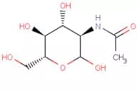 N-Acetyl-D-Glucosamine