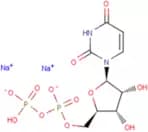 Uridine-5'-diphosphate disodium salt
