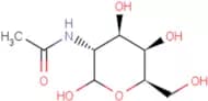 D-N-Acetylgalactosamine