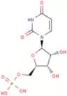 Uridine 5'-monophosphate