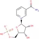 β-Nicotinamide mononucleotide
