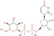 Uridine 5′-diphosphoglucose disodium salt