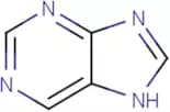 Purine