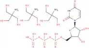 Uridine 5′-triphosphate tris salt