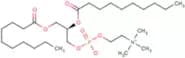 1,2-Didecanoyl-sn-glycero-3-phosphocholi